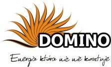 Domino Rokicki