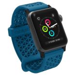 Catalyst Sport Band - Elastyczny pasek do Apple Watch 38/40 mm (Blueridge Sunset)