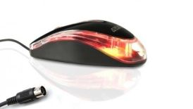 4World Mysz Optical Mouse Basic 06711