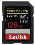 SanDisk 173375