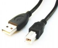 Gembird AM-BM kabel USB 2.0 3M czarny Niklowane końce