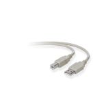 Belkin USB A/B Device Cable A/B DSTP