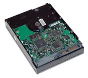 HP Dysk 2TB SATA 6Gb/s 7200 HDD