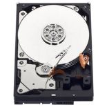 Western Digital Dysk twardy WD Blue, 3.5'', 1TB, SATA/600, 7200RPM, 64MB cache