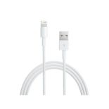 Apple Lightning to USB Cable (1 m)