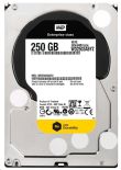 Western Digital Dysk twardy RE 250 GB 3.5 WD2503ABYZ