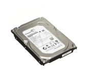 Seagate Surveillance (SkyHawk) 1TB ST1000VX001