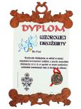 DYPLOM WZOROWEJ DRUŻBINY SP