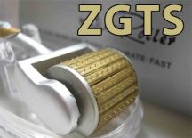 ZGTS DERMA ROLLER hit z USA